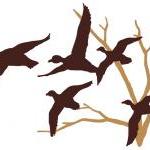 Ducks In Flight And Bare Tree Two Color Choice..