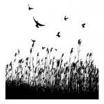 Birds And Wheat Vinyl Wall Decal 22118