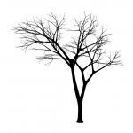 Bare Tree Style 3 Vinyl Wall Decal 22222