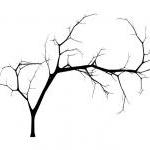 Bare Tree Style 4 Large Vinyl Wall Decal 22223