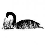 Wall Decal Goose In Grass Reeds 22231