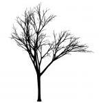Wall Decal Bare Tree Style 2 Vinyl Wall Decal..