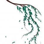 Weeping Willow Branch Vinyl Wall Decal 22088