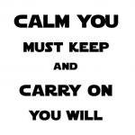 Calm You Must Keep Carry On You Will Vinyl Wall..