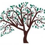 Large Tree With Leaves Vinyl Wall Decal Mural..