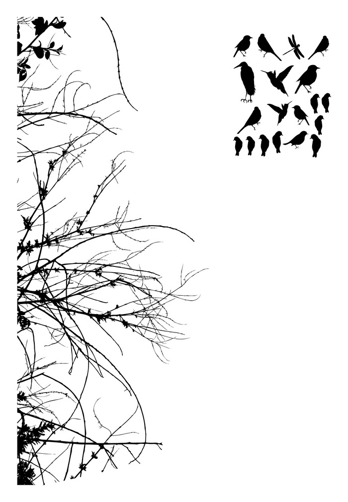 Tree Branches With Birds Left Sided Vinyl Wall Decal 22111 on Luulla